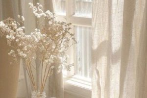 Como a EMDR trabalha o peso do passado